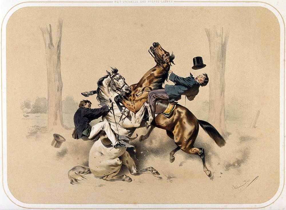 Two horses and their riders collide head-on, in a park . Coloured lithograph by A. Strassgschwandtner after himself, ca.…