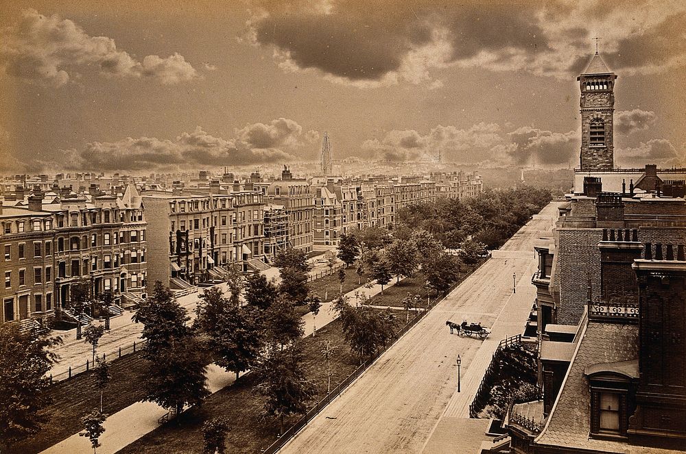 Boston, Massachusetts: Commonwealth Avenue: elevated view. Photograph, ca. 1880.
