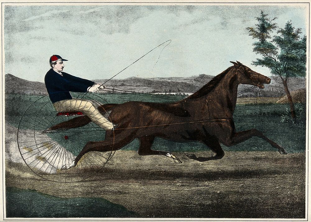 A brown mare pulling a cart with a jockey in a blue sweater. Coloured lithograph.