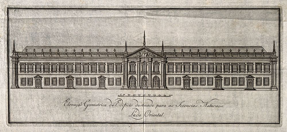 Academy or university, Portugal or Brazil: elevation. Etching.