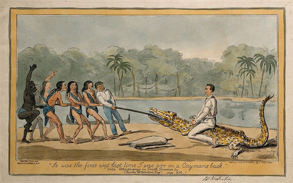 Charles Waterton in Guyana riding on the back of a cayman. Coloured etching by R. Cruikshank, 1827, after E. Jones.