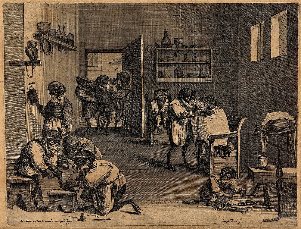 Monkeys dressed as apothecaries caring for sick animals in a surgery. Engraving by C. Boel after D. Teniers.