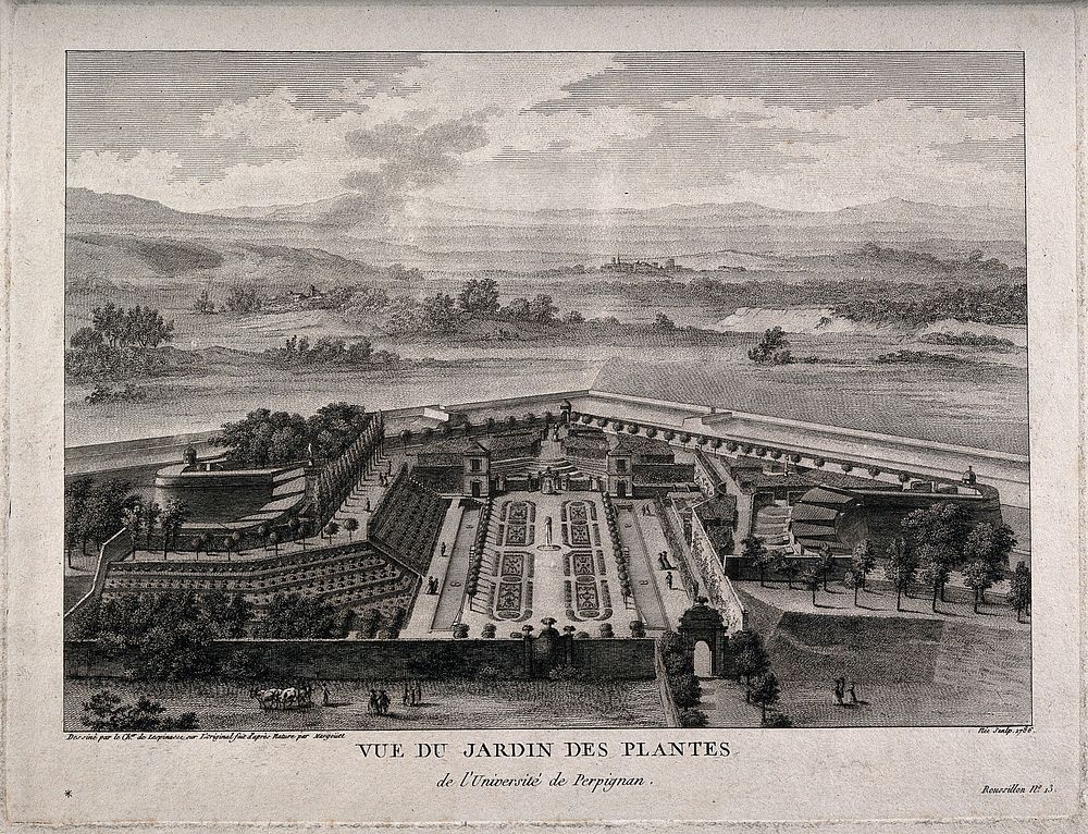 Jardin des Plantes, Perpignan: bird's eye view. Line engraving by F.D. Née, 1786, after L.N. de Lespinasse after Margoüet.