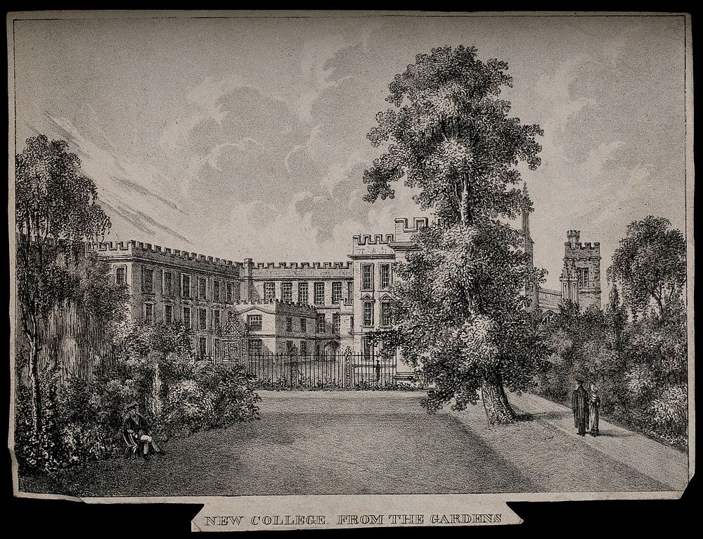 New College, Oxford: from the gardens. Lithograph.