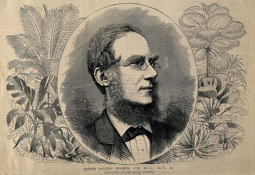 Sir Joseph Dalton Hooker. Wood engraving by W.G. Smith after himself.