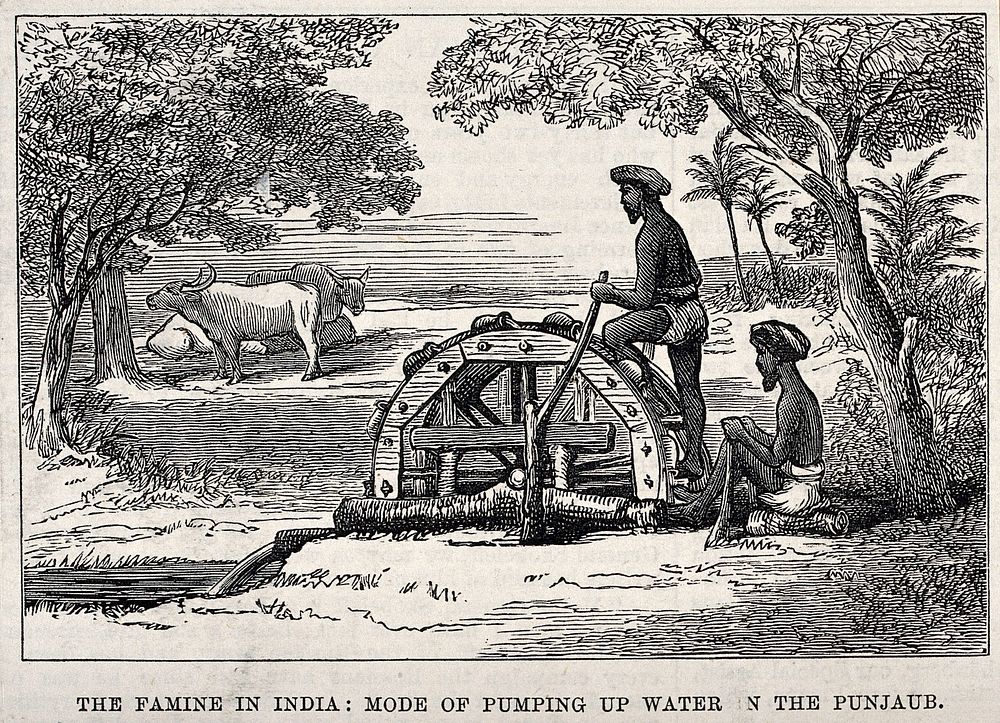 A man raising water with a water-wheel during a famine in India. Wood engraving after J. Calvert, 1877.