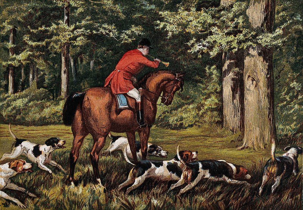 A mounted huntsman with his hounds by a wood. Colour line block.