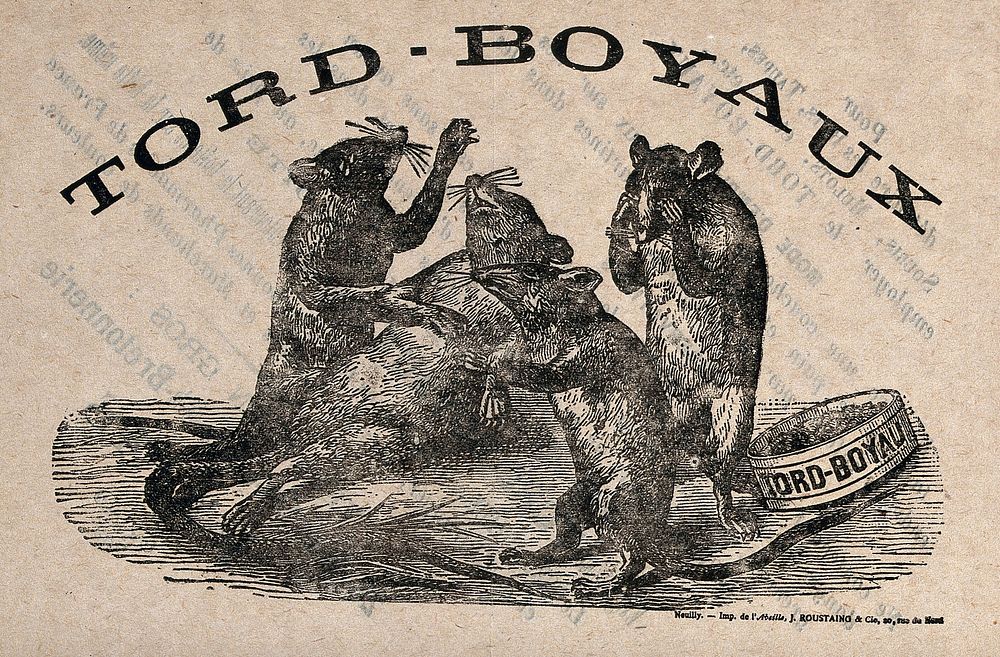 A dying rat, mourned by three other rats; advertising Tord-Boyaux rat poison. Wood engraving, 18--.