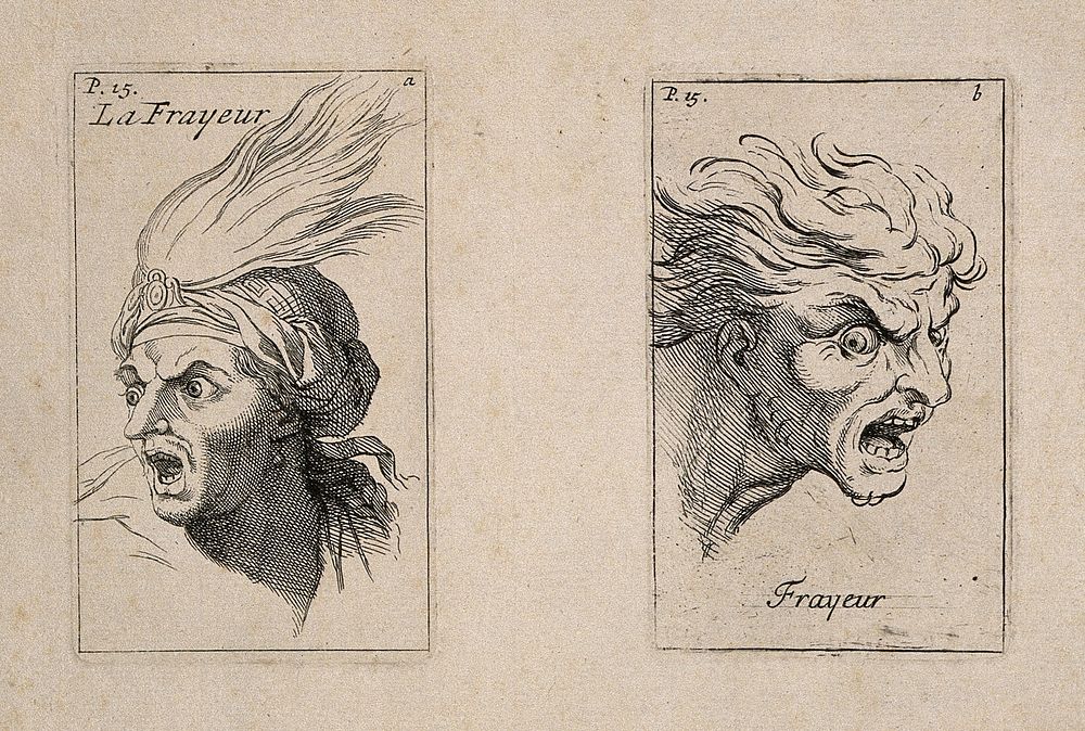 Face of a frightened soldier (left); the human face in an animal state of fear (right). Etching by B. Picart, 1713, after C.…