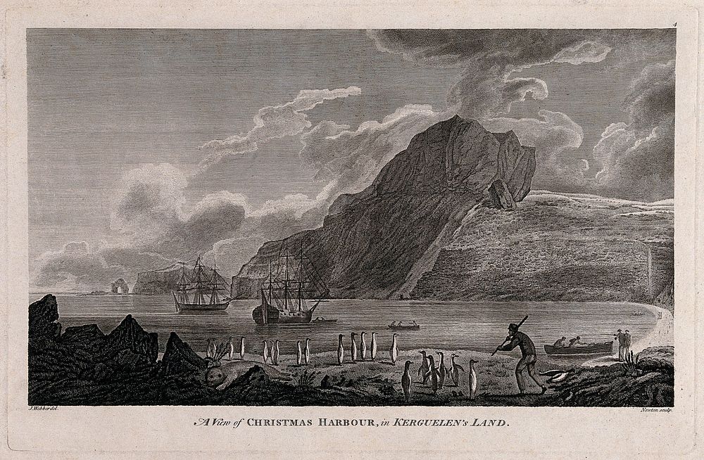 Christmas Harbour in Kerguelen Island (South Indian Ocean), Captain Cook's ships Resolution and Discovery in the bay.…