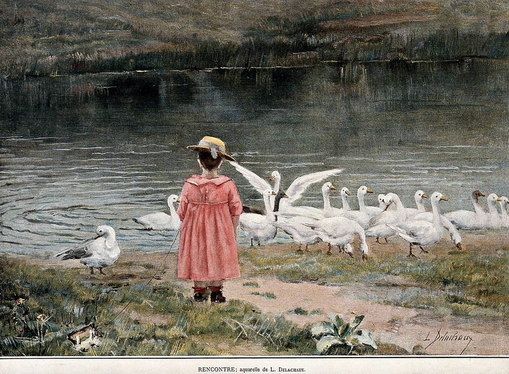 A girl encounters a flock of birds at the edge of a lake. Colour process print after L. Delachaux.