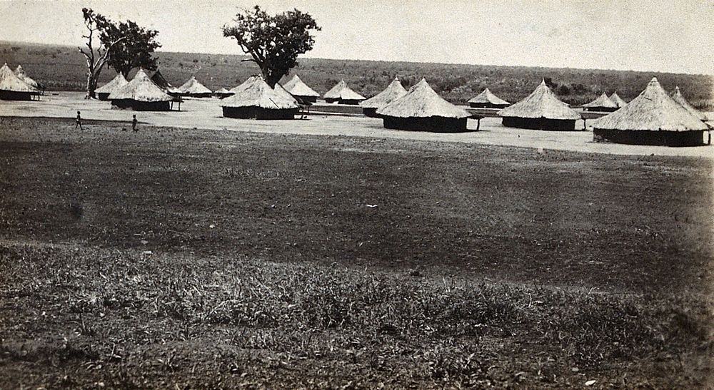 Yei, Uganda: a sleeping sickness camp: circular grass-roofed huts. Photograph, 1900/1910.