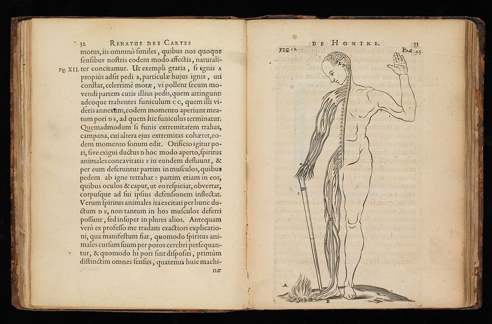 Renatus Des Cartes De homine / figuris et Latinitate donatus a Florentio Schuyl.