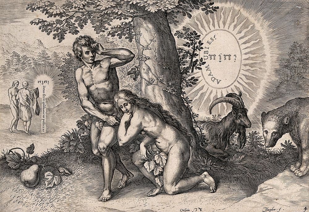 Adam and Eve conceal their nakedness; in the distance they receive clothes from God. Line engraving by J. Haeyler after C.…