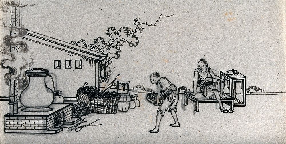 Processing of tea  (Camellia sinensis) in China: one man carries a tray of leaves towards the oven for firing, while another…