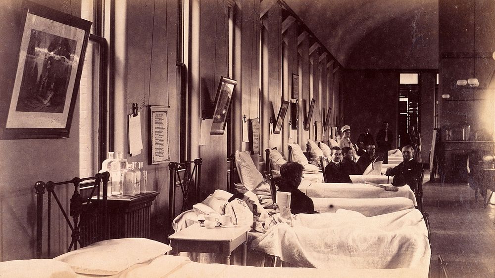 Bellevue Hospital, New York City: a ward for male patients with case-notes clipped to wall above beds. Photograph, ca.…