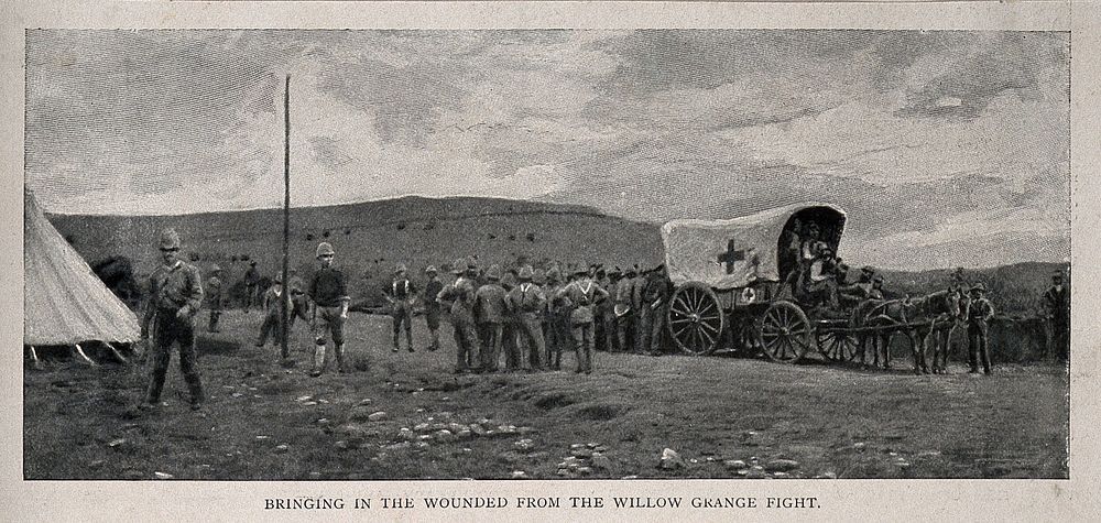 Boer War: bringing in the wounded the Willow Grange fight. Process print.