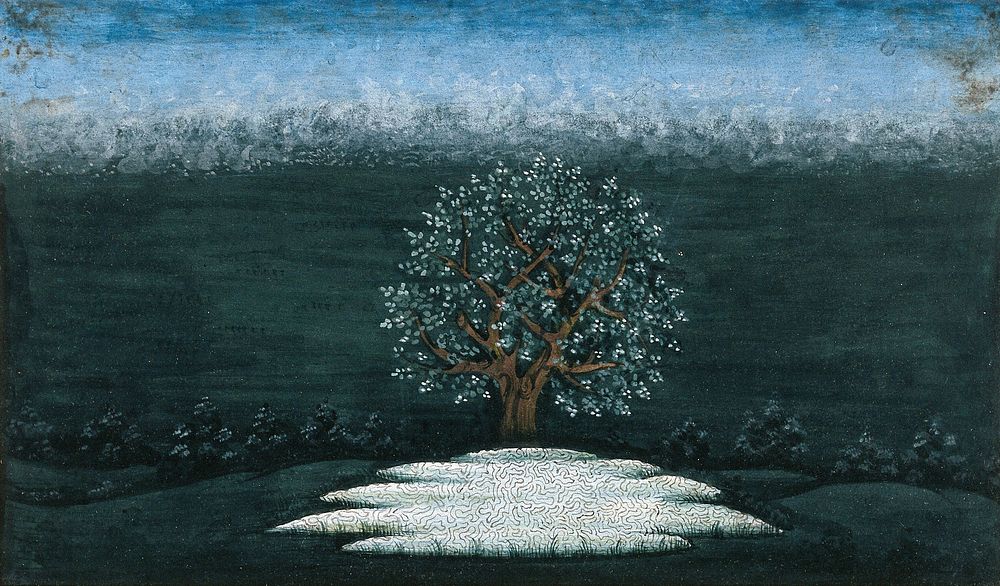 A tree beside a pool of water . Gouache painting by an Indian artist.