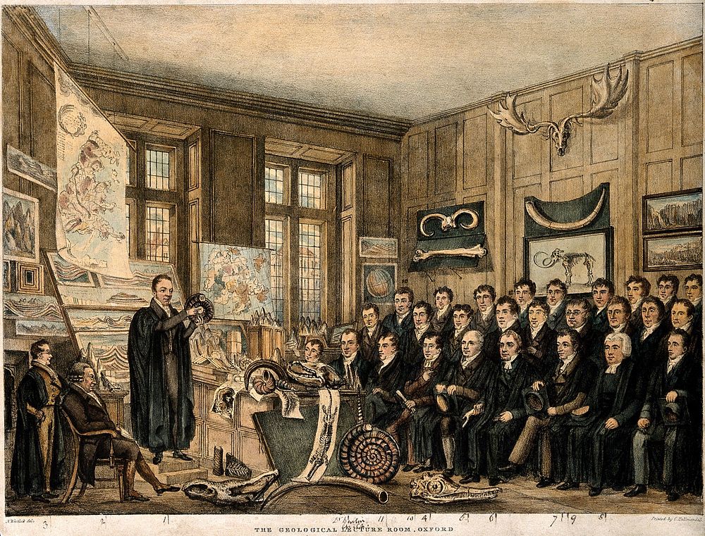 Scholars attending a lecture in the Ashmolean Museum, Oxford. Coloured lithograph printed by C. Hullmandel after N. Whittock.