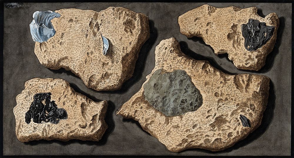 Four specimens of tufa from the quarries near the Grotto of Posillipo. Coloured etching by Pietro Fabris, 1776.