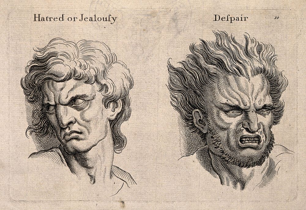 A face expressing hatred or jealousy (left); a face with hair on end expressing despair. Engraving, c. 1760, after C. Le…