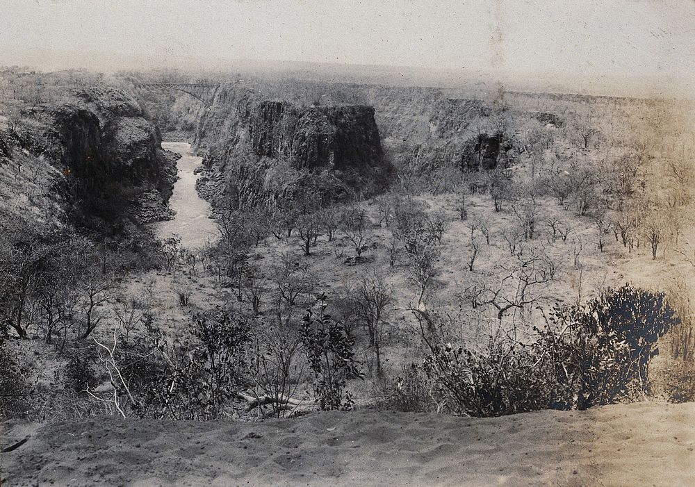 South Africa: the Zambezi river. Photograph by Prof. W.B. Scott, 1905.