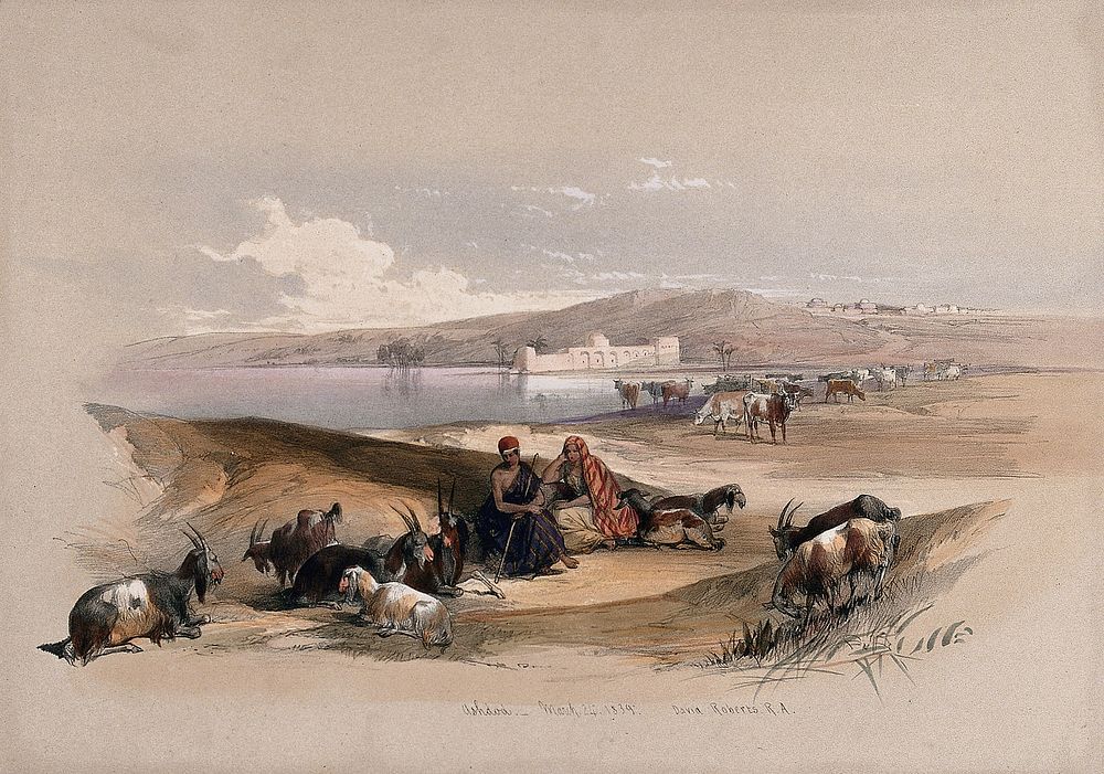Goatherds with flock near Ashdod, Holy Land. Coloured lithograph by Louis Haghe after David Roberts, 1843.