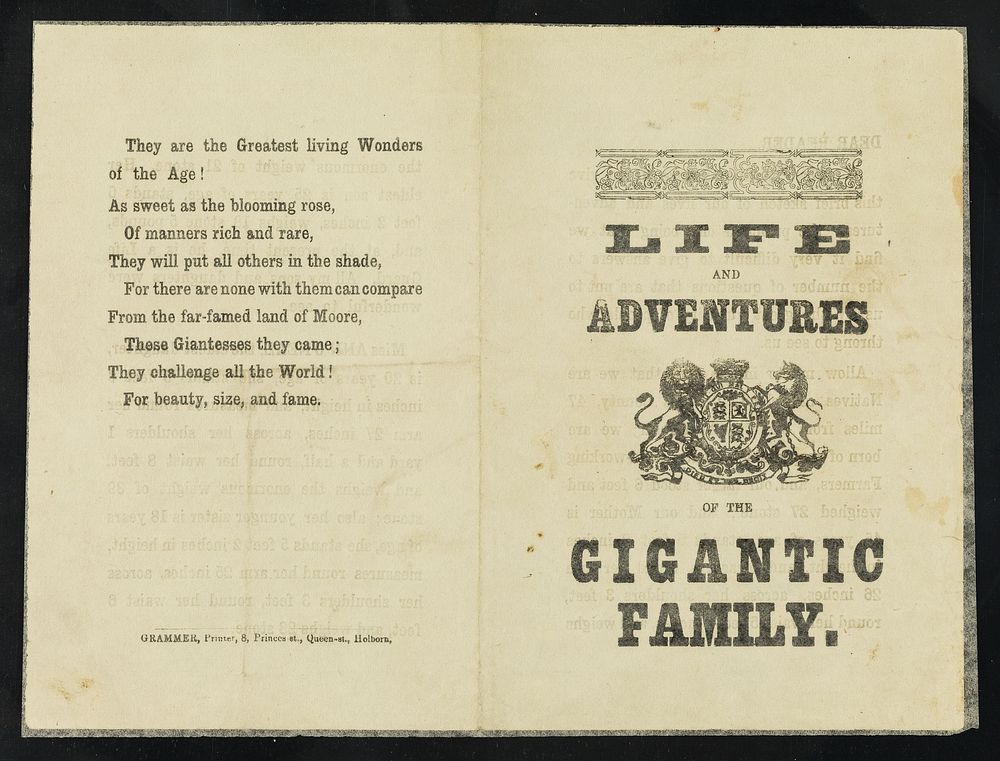 [Folded leaflet about "the life and adventures of the gigantic family" of Queen's County, Ireland. Ann O'Neal is the eldest…