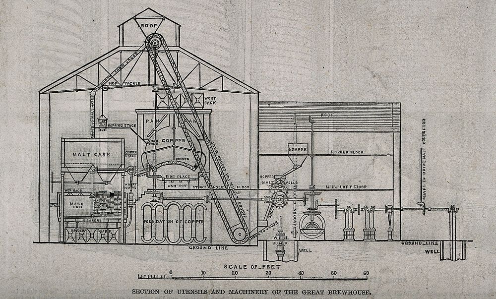 A labelled section through a brewhouse showing brewing utensils and machinery. Wood-engraving, c. 1847.