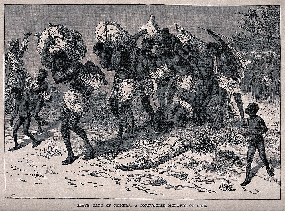 Convoys of female slaves, with children, in Angola, chained together and carrying heavy bundles. Wood engraving.