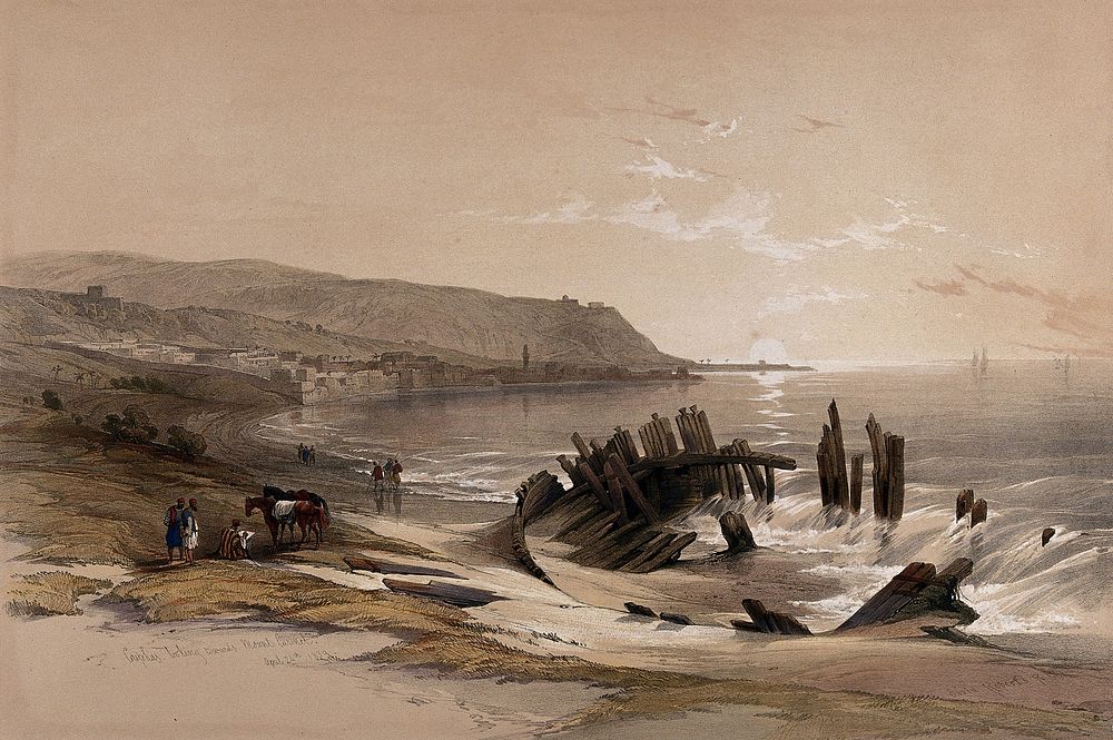 Ship-wreck near Caiphas, with Mount Carmel in the distance. Coloured lithograph by Louis Haghe after David Roberts, 1843.