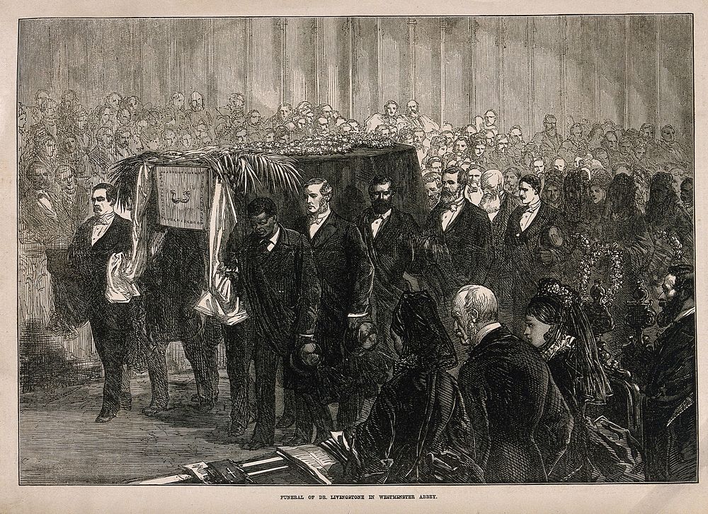 Funeral of David Livingstone at Westminster Abbey; his coffin is carried by some of his former servants. Wood engraving by…