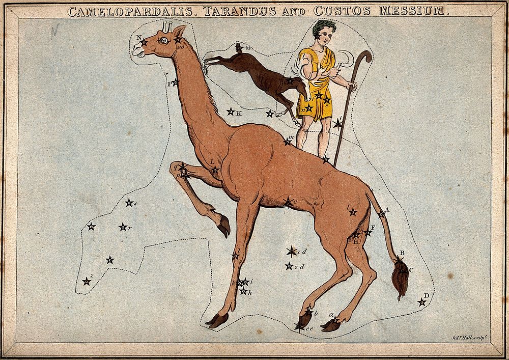 Astrology: signs of the zodiac, Aquarius. Coloured engraving.
