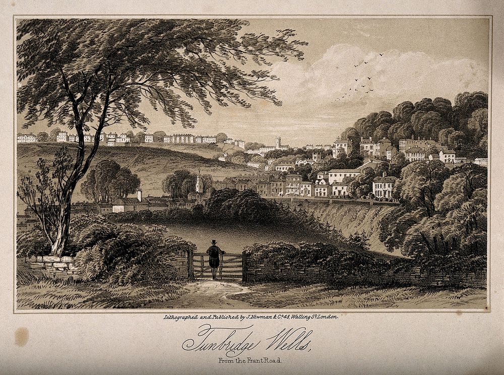 Tunbridge Wells, Kent: panoramic view from Frant Road. Tinted lithograph.