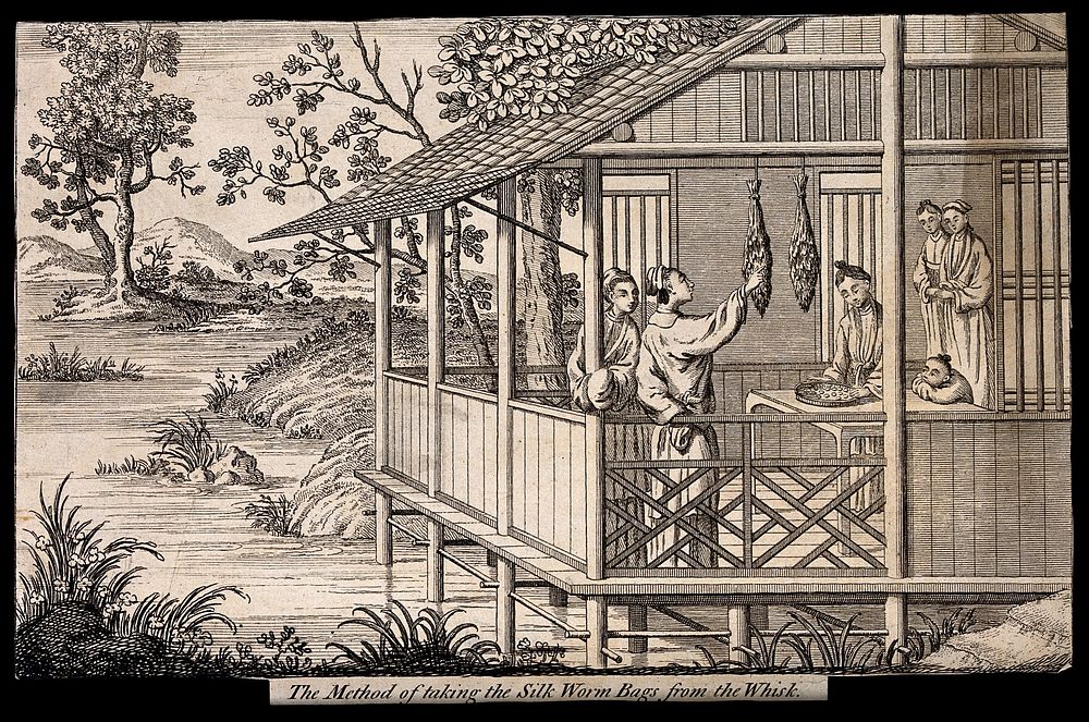 Textiles: silk manufacture in China, gathering the empty silk cocoons. Engraving.