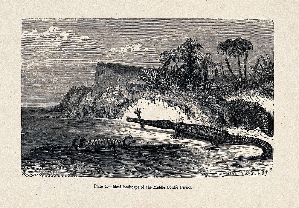 An ideal landscape of the middle ooloitic period with reptiles and saurians. Wood engraving by J. Huye.