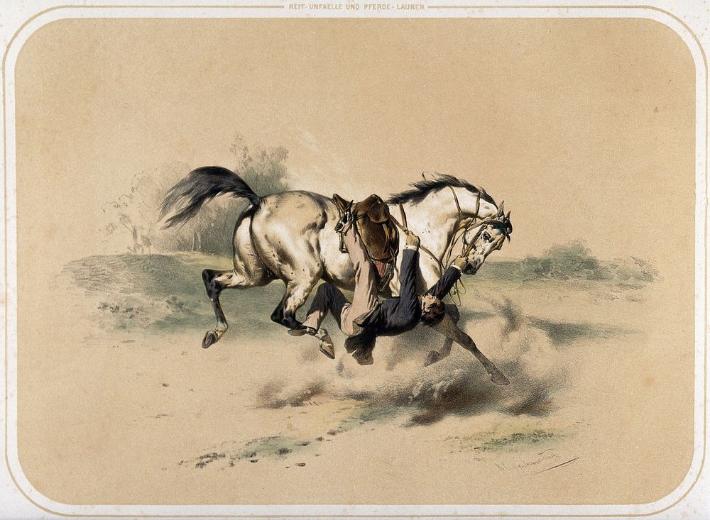 A rider has slipped sideways from his saddle and is trapped underneath his cantering horse with one foot in the stirrup; he…