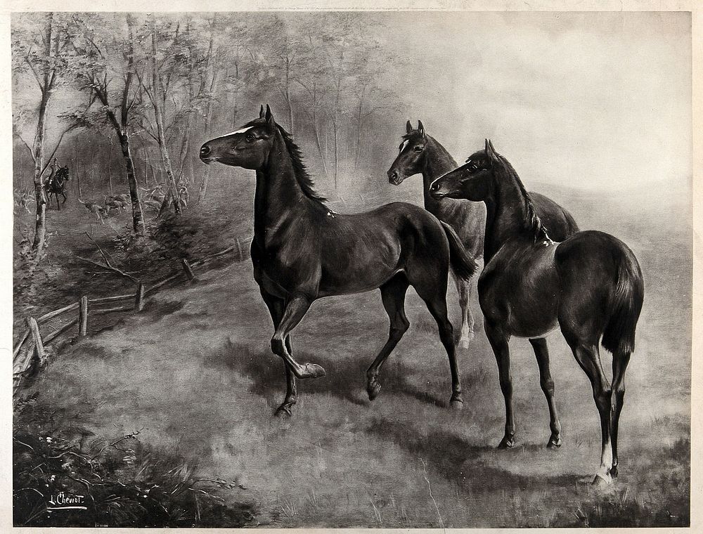 Three horses standing in a field, listening to the horn of a huntsman, who is seen with his horse and hounds in the woods…