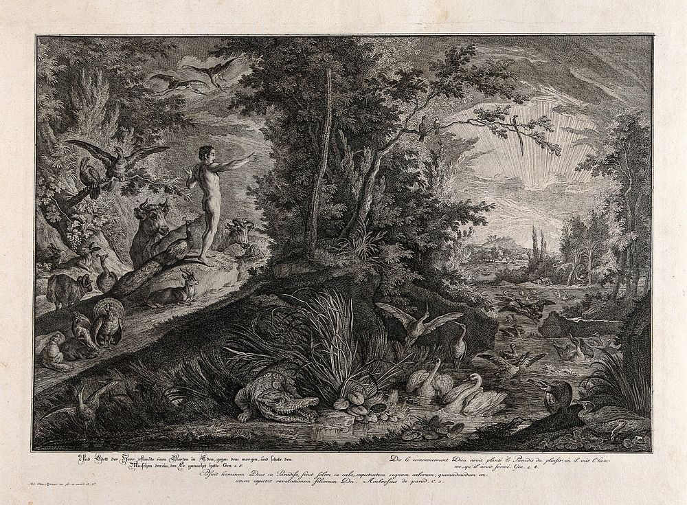 Adam overlooks the Garden of Eden. Etching by J.E. Ridinger after himself, c. 1750.