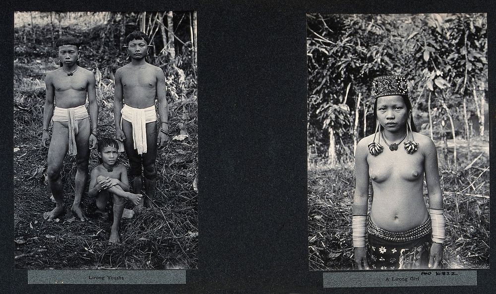 Sarawak: three Lirong boys and one girl. Photographs.