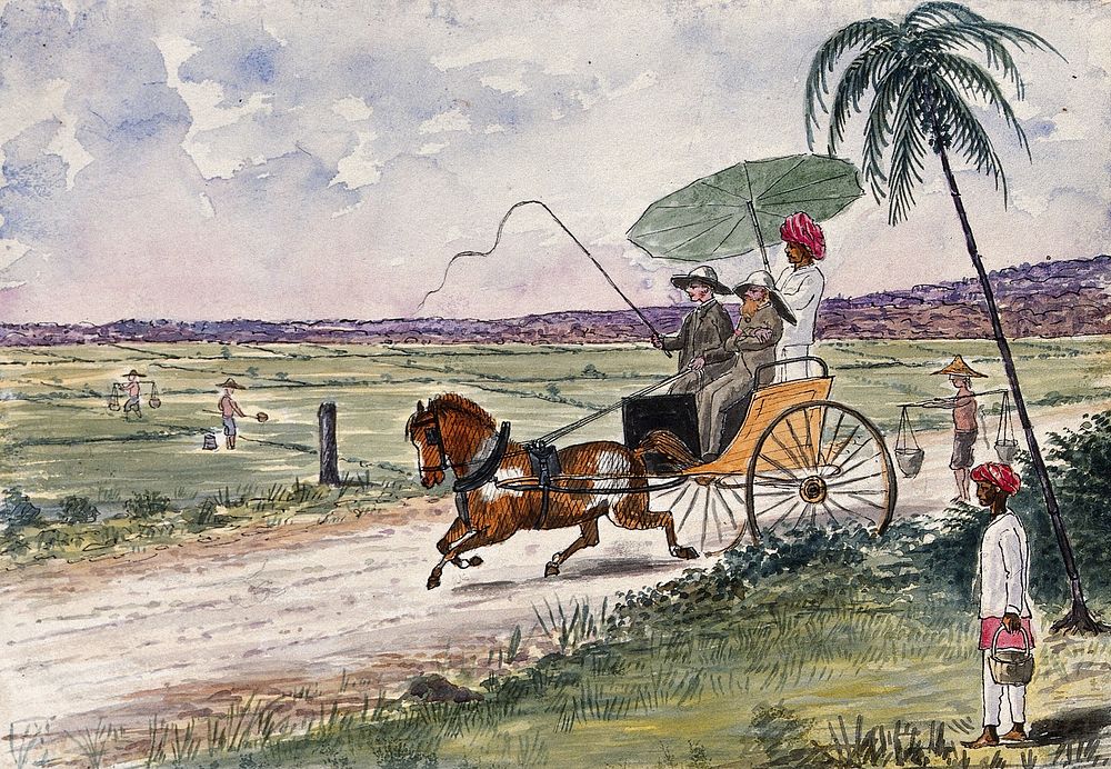 Malaya: a pony and trap being driven down a country road. Watercolour by J. Taylor, 1879.