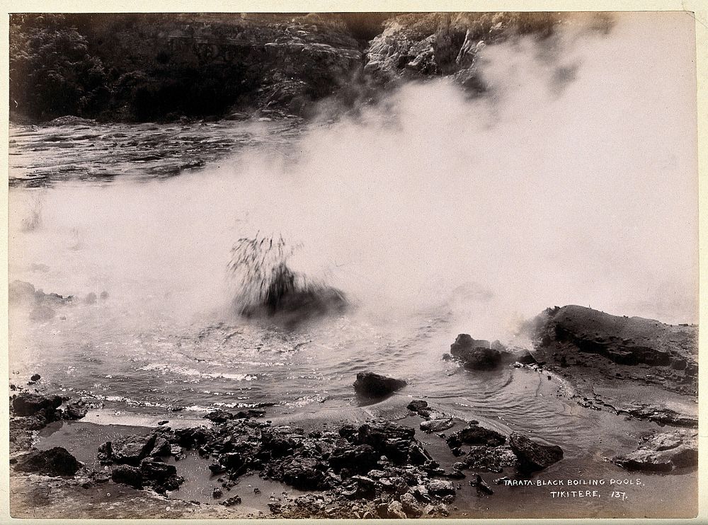 Tikitere, New Zealand: boiling mud pools. Albumen print.