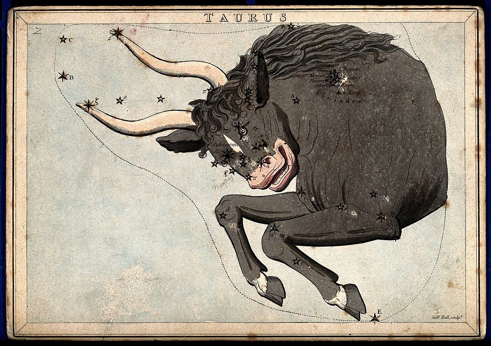 Astrology: signs of the zodiac, Taurus. Coloured engraving by S. Hall.