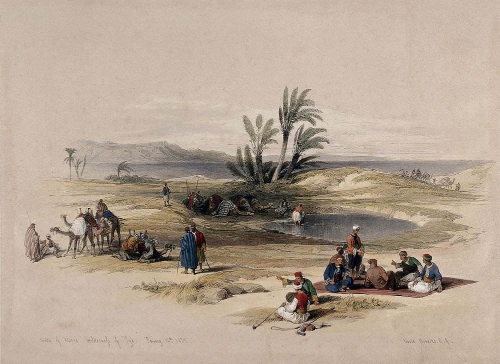 Travellers at the wells of Moses, or Eyun Musa, on the eastern side of the Gulf of Suez. Coloured lithograph by Louis Haghe…