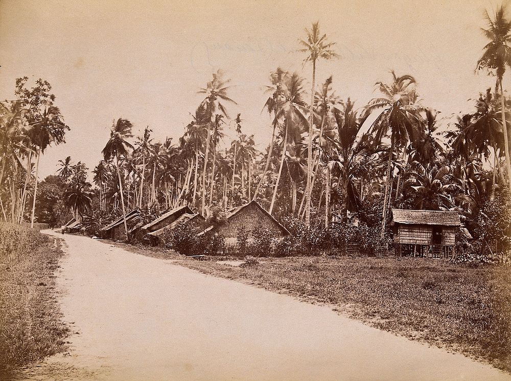 Malaya: houses of inhabitants on Penang Island. Photograph by J. Taylor, 1881.