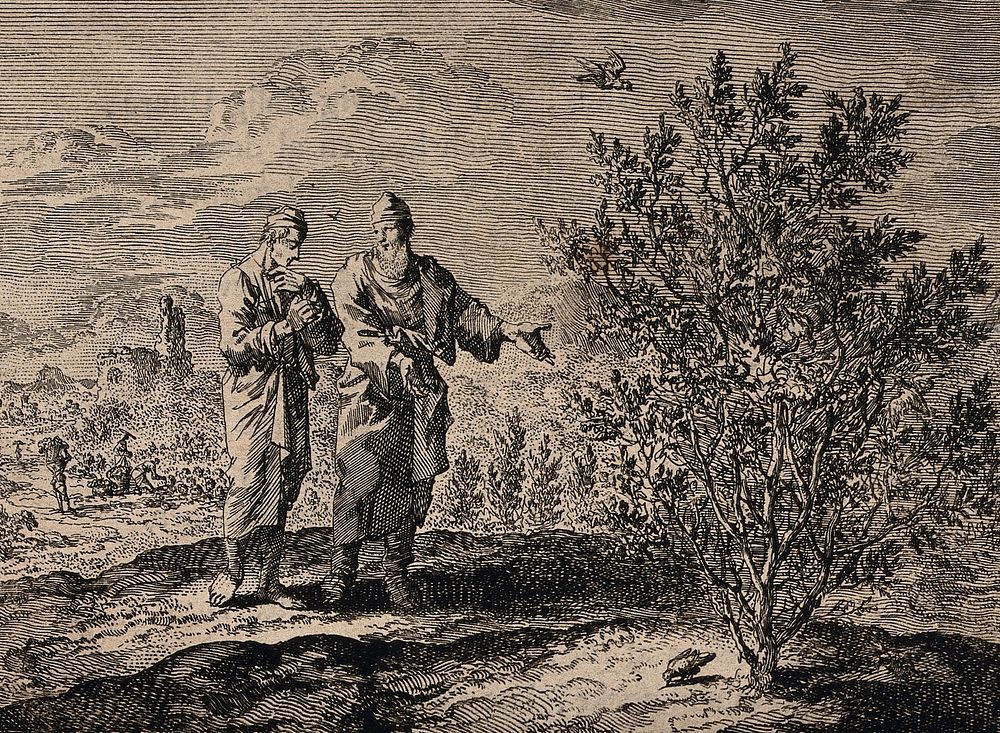 Christ tells an apostle how a mustard seed grows into a tree. Etching.