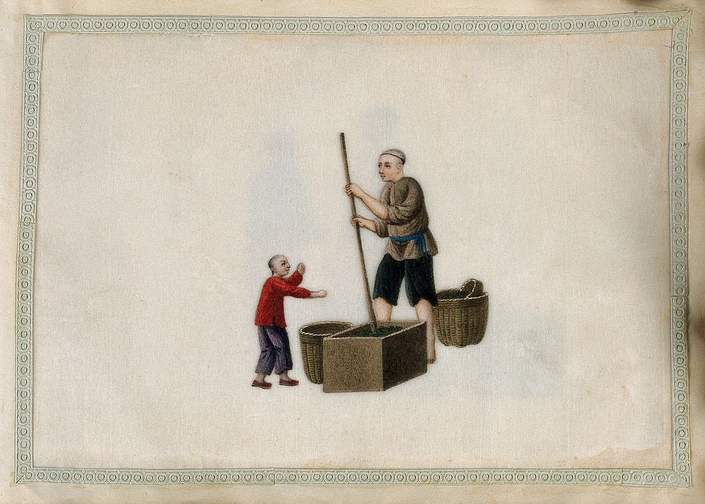 A man pounding tea leaves down into a large wooden box with a large pestle, watched by a small boy. Painting by a Chinese…