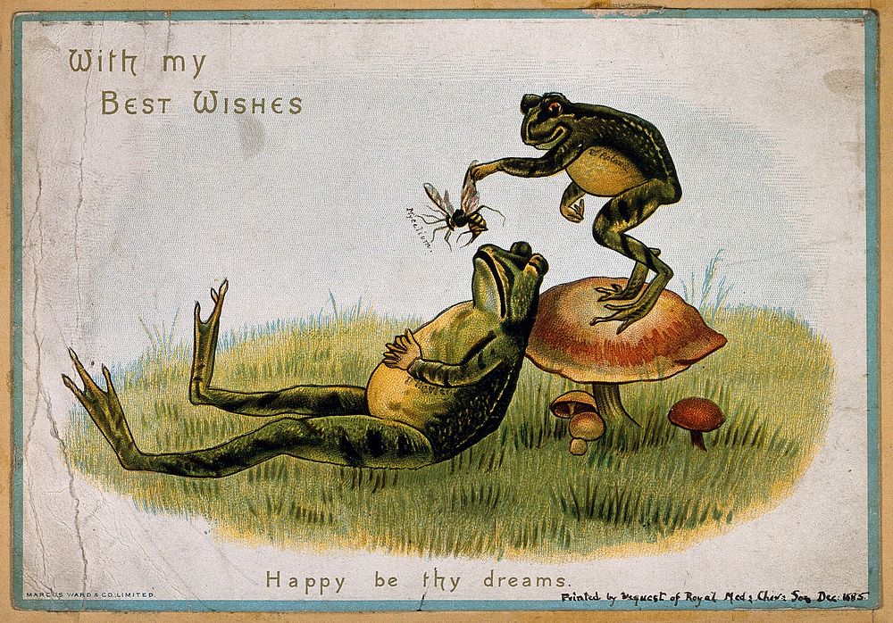 A frog standing on a mushroom feeding a wasp to a sleeping frog underneath him. Colour lithograph after E.M.