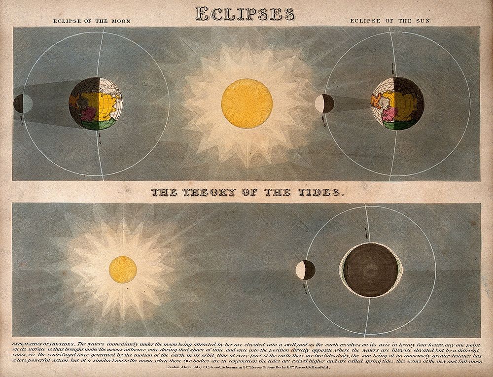 Astronomy: eclipses (top), and the Moon's passage around the Earth. Coloured engraving by J. Emslie, 1851, after himself.