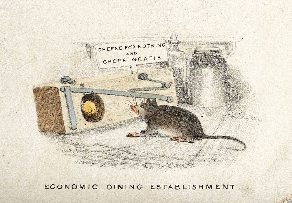 A mouse is sitting in front of a trap with an inviting sign, contemplating the offer. Coloured aquatint.